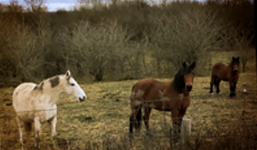 Feature Image 2