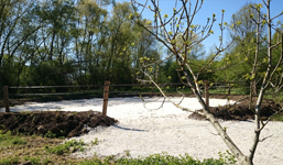 Feature Image 3