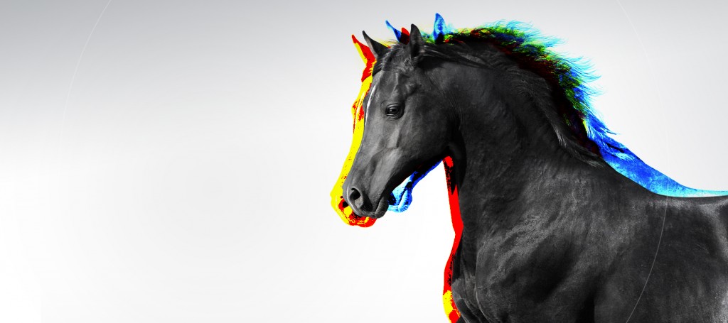 Salon du Cheval de Paris 2016
