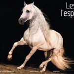 Les chevaux ibériques à l'honneur dans Cheval Magazine Hors Série