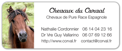 Chevaux du Corval, Elevage de chevaux de Pure Race Espagnole