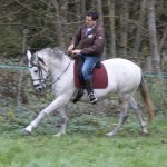Jument Pure Race Espagnole - Elevage de chevaux de Pure Race Espagnol - Yonne - Joigny - Remona Gom