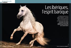 Les chevaux ibériques à l'honneur dans Cheval Magazine Hors Série 