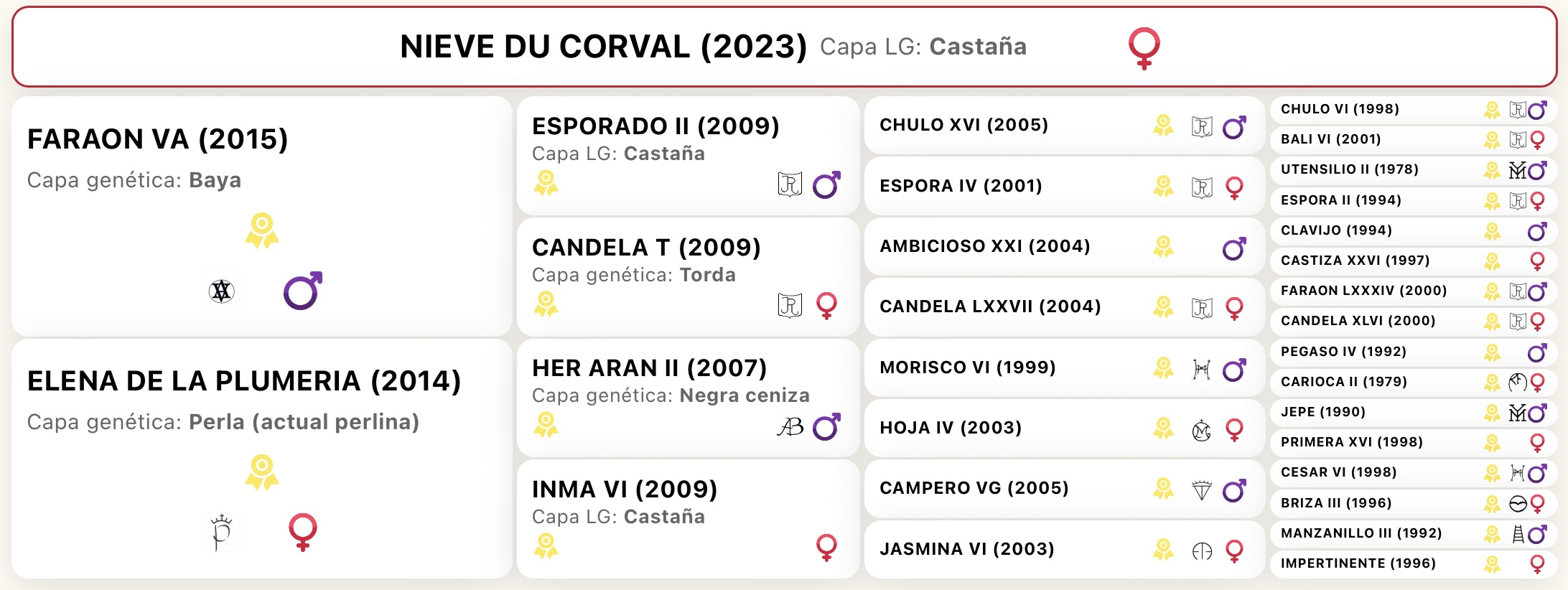 Nieve du Corval - Pouliche Pur Race Espagnol (PRE)