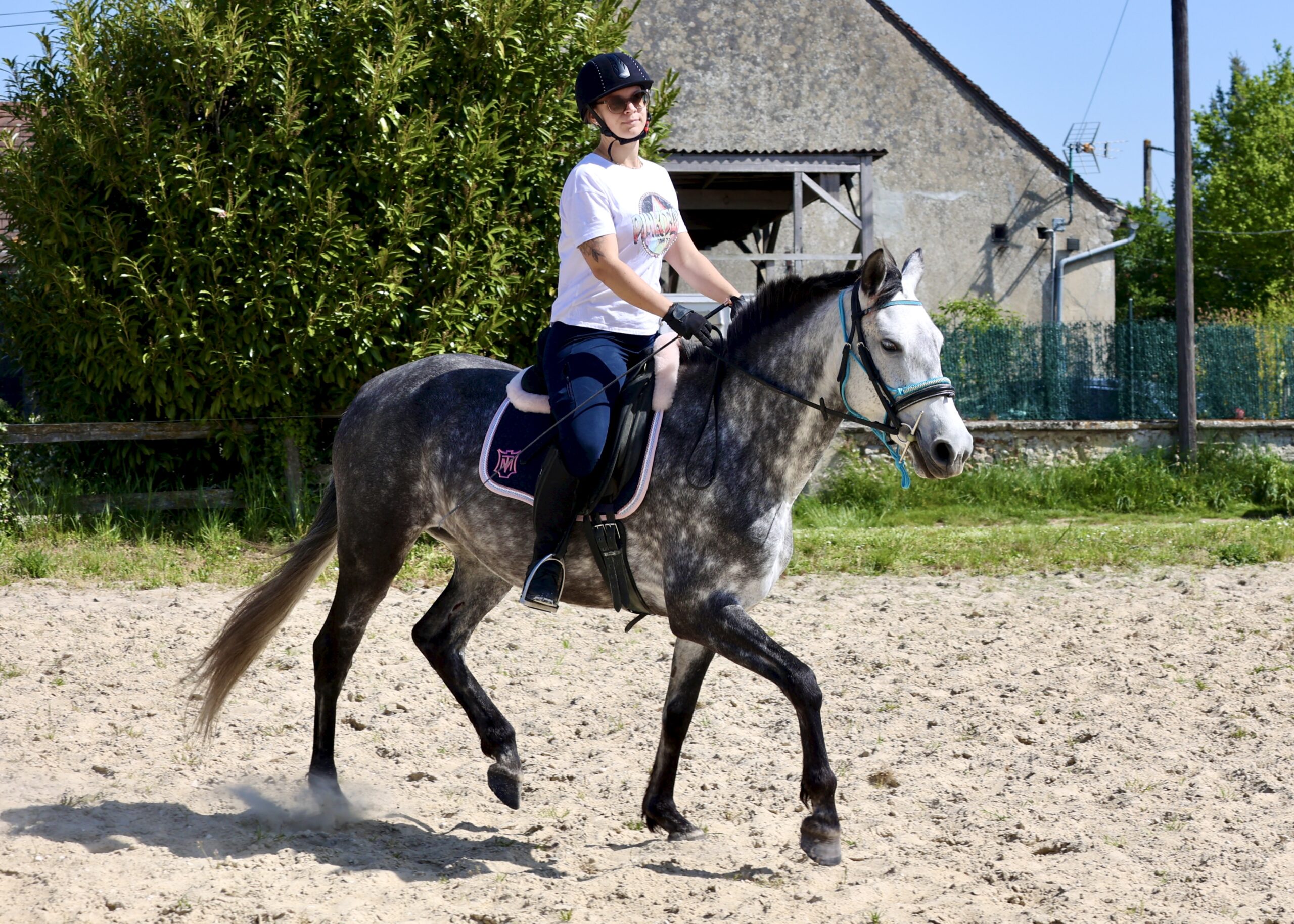 Leyenda du Corval Jument PRE Apta de 5 ans Montée à vendre