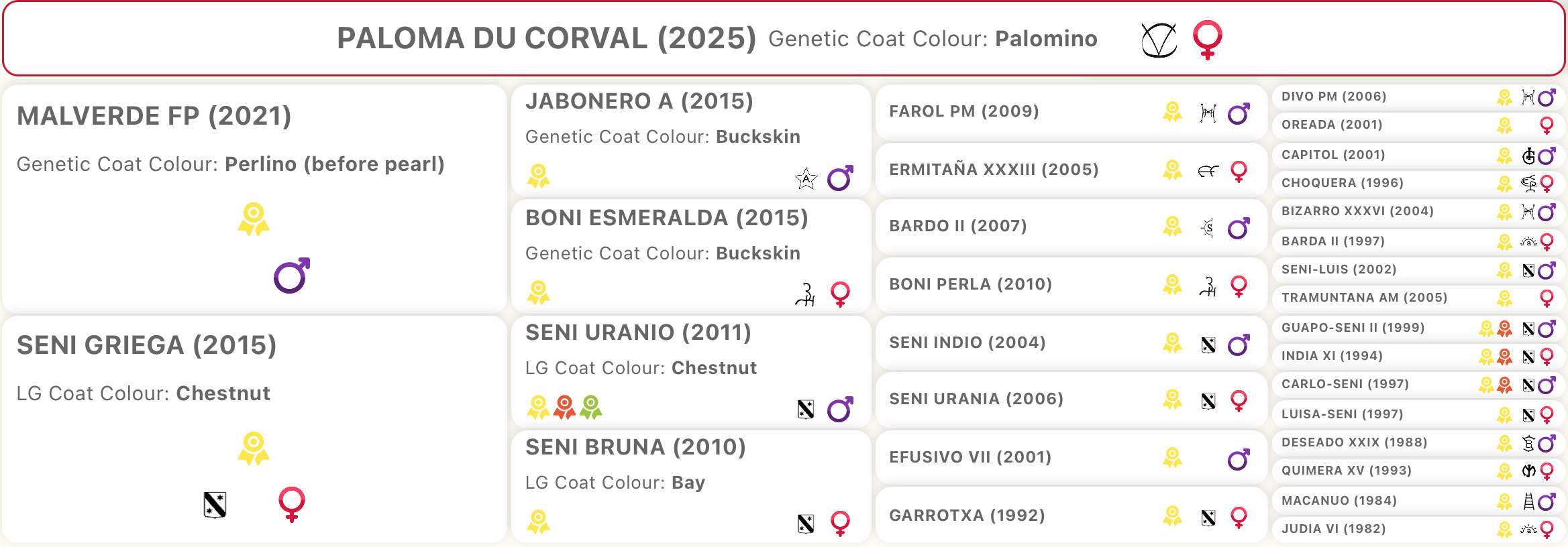 Paloma du Corval, pouliche PRE palomino