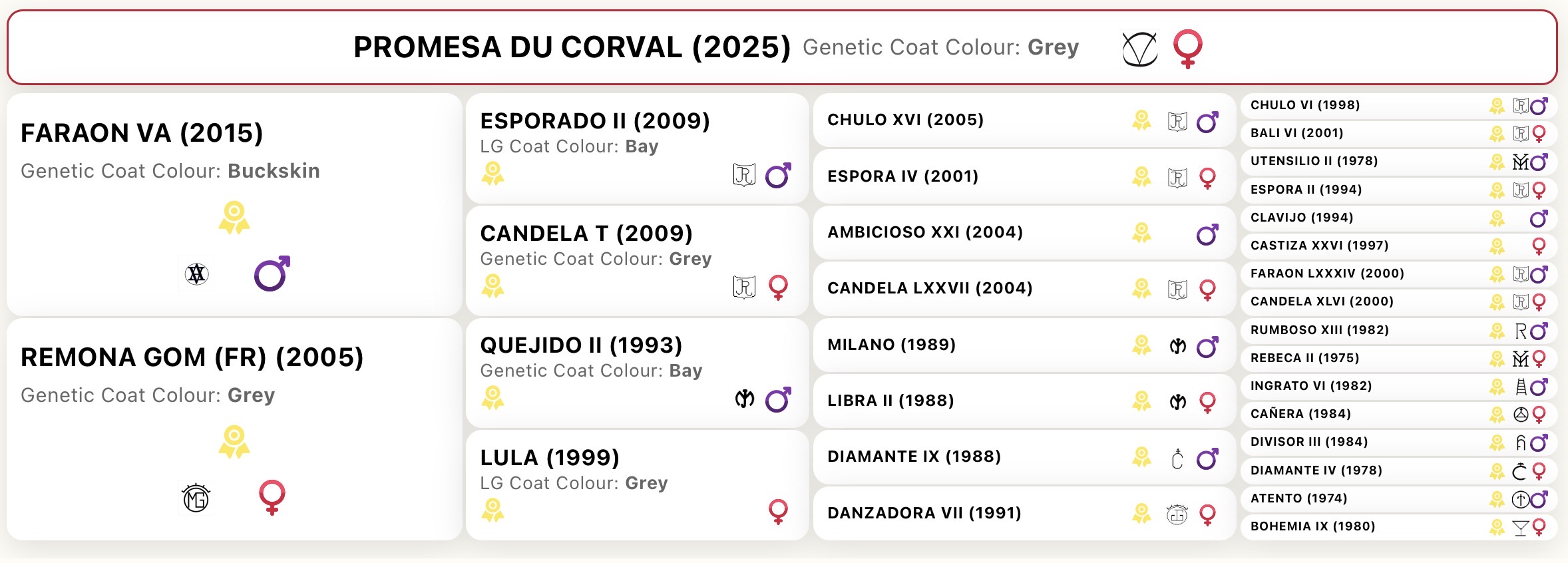 Promesa du Corval pouliche PRE Grise de 2025